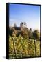 Old Castle in Autumn, Meersburg, Lake Constance (Bodensee), Baden Wurttemberg, Germany, Europe-Markus Lange-Framed Stretched Canvas