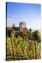 Old Castle in Autumn, Meersburg, Lake Constance (Bodensee), Baden Wurttemberg, Germany, Europe-Markus Lange-Stretched Canvas