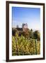 Old Castle in Autumn, Meersburg, Lake Constance (Bodensee), Baden Wurttemberg, Germany, Europe-Markus Lange-Framed Photographic Print
