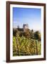 Old Castle in Autumn, Meersburg, Lake Constance (Bodensee), Baden Wurttemberg, Germany, Europe-Markus Lange-Framed Photographic Print