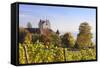 Old Castle in Autumn, Meersburg, Lake Constance (Bodensee), Baden Wurttemberg, Germany, Europe-Markus Lange-Framed Stretched Canvas