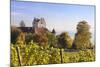 Old Castle in Autumn, Meersburg, Lake Constance (Bodensee), Baden Wurttemberg, Germany, Europe-Markus Lange-Mounted Photographic Print