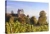 Old Castle in Autumn, Meersburg, Lake Constance (Bodensee), Baden Wurttemberg, Germany, Europe-Markus Lange-Stretched Canvas