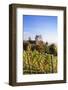 Old Castle in Autumn, Meersburg, Lake Constance (Bodensee), Baden Wurttemberg, Germany, Europe-Markus Lange-Framed Photographic Print