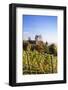 Old Castle in Autumn, Meersburg, Lake Constance (Bodensee), Baden Wurttemberg, Germany, Europe-Markus Lange-Framed Photographic Print