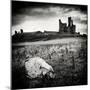 Old Castle-Craig Roberts-Mounted Photographic Print