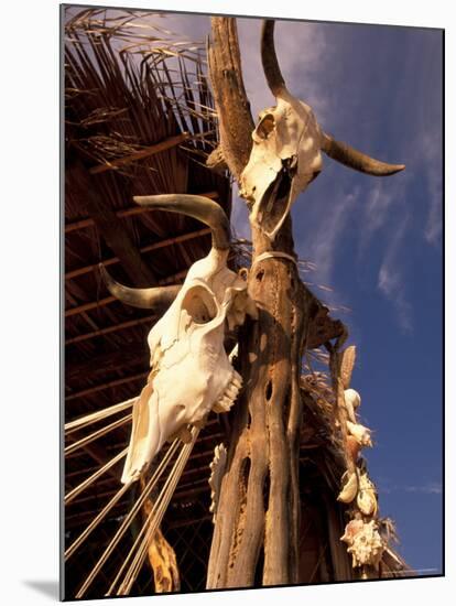 Old Cattle Skulls, Todos Santos, Baja, Mexico-Walter Bibikow-Mounted Photographic Print