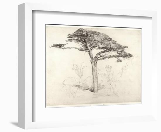 Old Cedar Tree in Botanic Garden, Chelsea, 1854 (Pencil on Paper)-Samuel Palmer-Framed Premium Giclee Print