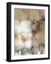 Old Cellar I-J^P^ Prior-Framed Giclee Print