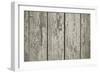 Old Chapped Wooden Neutral Grey Background-Elen33-Framed Premium Giclee Print