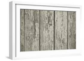 Old Chapped Wooden Neutral Grey Background-Elen33-Framed Art Print