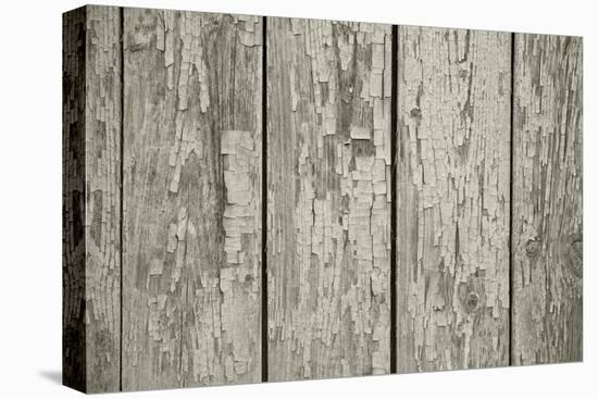 Old Chapped Wooden Neutral Grey Background-Elen33-Stretched Canvas