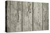 Old Chapped Wooden Neutral Grey Background-Elen33-Stretched Canvas