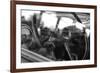 Old Chevrolet Truck's Steering Wheel in Black and White-null-Framed Photo