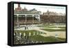 Old Chicago Ball Grounds-null-Framed Stretched Canvas