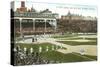 Old Chicago Ball Grounds-null-Stretched Canvas