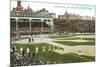 Old Chicago Ball Grounds-null-Mounted Premium Giclee Print