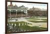 Old Chicago Ball Grounds-null-Framed Art Print