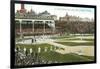 Old Chicago Ball Grounds-null-Framed Art Print