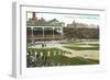 Old Chicago Ball Grounds-null-Framed Art Print