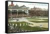 Old Chicago Ball Grounds-null-Framed Stretched Canvas