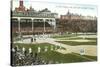 Old Chicago Ball Grounds-null-Stretched Canvas