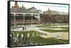 Old Chicago Ball Grounds-null-Framed Stretched Canvas