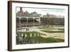 Old Chicago Ball Grounds-null-Framed Art Print