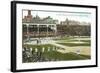 Old Chicago Ball Grounds-null-Framed Art Print