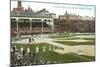 Old Chicago Ball Grounds-null-Mounted Art Print