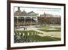 Old Chicago Ball Grounds-null-Framed Art Print