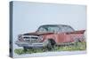 Old Chrysler, 1999-Anthony Butera-Stretched Canvas