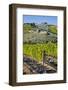 Old Church in the Town of Monte Falco-Terry Eggers-Framed Photographic Print