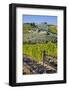 Old Church in the Town of Monte Falco-Terry Eggers-Framed Photographic Print