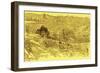 Old City of Jerusalem seen from Mount of Olives-James Jacques Joseph Tissot-Framed Giclee Print