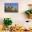 Old City of Sanaa, UNESCO World Heritage Site, Yemen, Middle East-Bruno Morandi-Photographic Print displayed on a wall