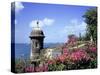 Old City Walls, Old San Juan, Puerto Rico-David Herbig-Stretched Canvas