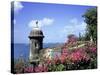 Old City Walls, Old San Juan, Puerto Rico-David Herbig-Stretched Canvas