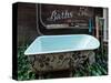 Old clawfoot bathtub in Chinese American Town, Locke, Sacramento�San Joaqui-null-Stretched Canvas