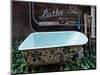 Old clawfoot bathtub in Chinese American Town, Locke, Sacramento�San Joaqui-null-Mounted Photographic Print