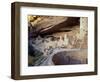 Old Cliff Dwellings and Cliff Palace in the Mesa Verde National Park, Colorado, USA-Gavin Hellier-Framed Photographic Print