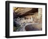 Old Cliff Dwellings and Cliff Palace in the Mesa Verde National Park, Colorado, USA-Gavin Hellier-Framed Photographic Print