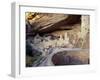 Old Cliff Dwellings and Cliff Palace in the Mesa Verde National Park, Colorado, USA-Gavin Hellier-Framed Photographic Print