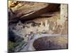 Old Cliff Dwellings and Cliff Palace in the Mesa Verde National Park, Colorado, USA-Gavin Hellier-Mounted Photographic Print