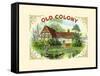 Old Colony-L.W. Keyer-Framed Stretched Canvas