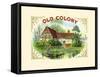 Old Colony-L.W. Keyer-Framed Stretched Canvas