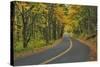 Old Columbia River Highway-Steve Terrill-Stretched Canvas