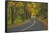 Old Columbia River Highway-Steve Terrill-Framed Stretched Canvas