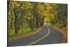 Old Columbia River Highway-Steve Terrill-Stretched Canvas