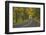 Old Columbia River Highway-Steve Terrill-Framed Photographic Print